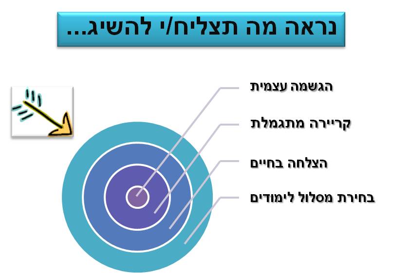 הכוונה מקצועית